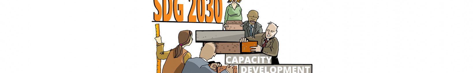 Capacity Development online course