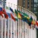 UN flags