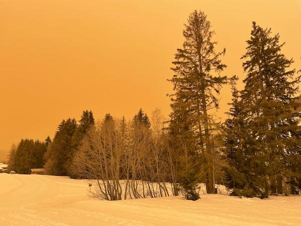 sepia