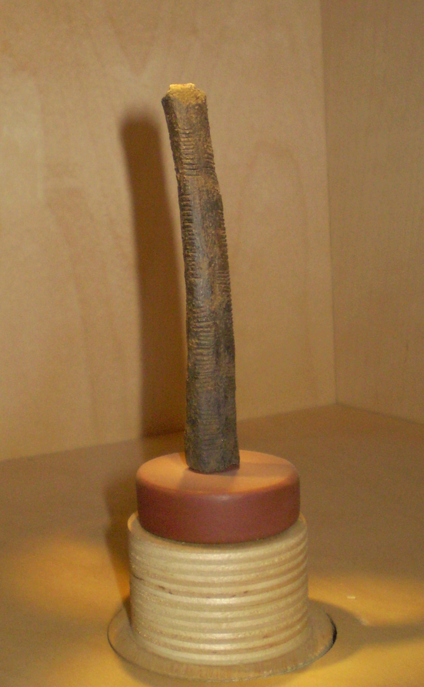 Prehistoric Ishango bone