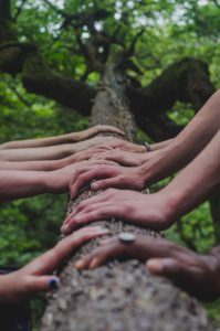 a group of people standing next to each other in a forest, community unsplash, Community
