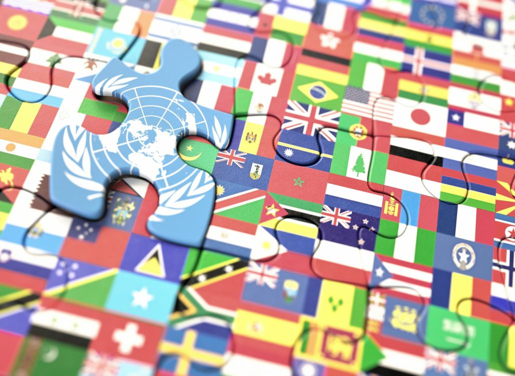 The image shows a puzzle composed of United Nations World Flags