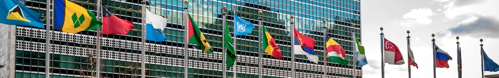You can see several flags in front of the UN Headquarters in New York.